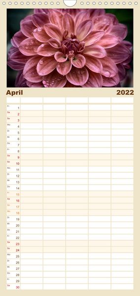 Produktbild: Familienplaner Floral Portraits - Blumen Impression (Wandkalender 2022 , 21 cm x 45 cm, hoch)