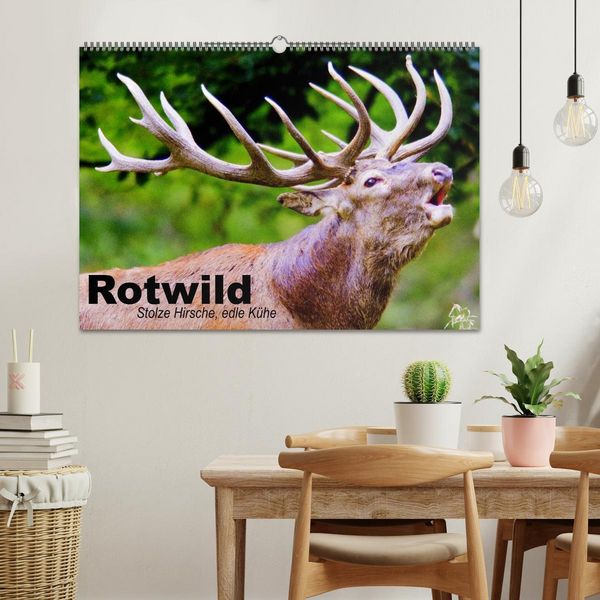Produktbild: Rotwild. Edle Hirsche, stolze K&uuml;he (Wandkalender 2026 DIN A2 quer), CALVENDO Monatskalender