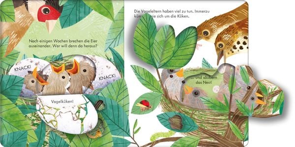 Produktbild: Guck mal, wer da ist! Im Vogelnest