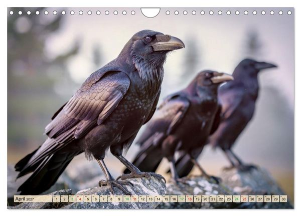 Produktbild: Die intelligentesten Tiere - Weltweit (Wandkalender 2027 DIN A4 quer), CALVENDO Monatskalender