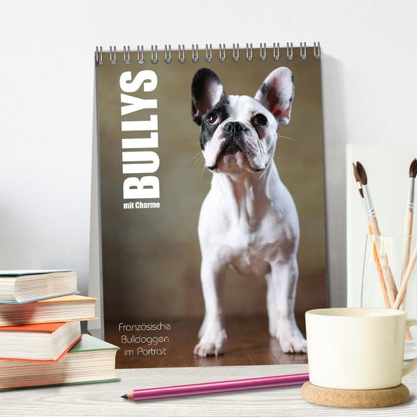 Produktbild: Bullys mit Charme - Franz&ouml;sische Bulldoggen im Portrait (Tischkalender 2026 DIN A5 hoch), CALVENDO Monatskalender