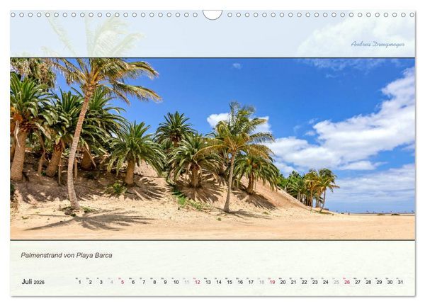 Produktbild: FUERTEVENTURA-PANORAMA (Wandkalender 2026 DIN A3 quer), CALVENDO Monatskalender