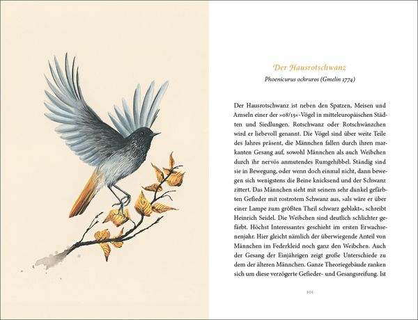 Produktbild: Vom Gl&uuml;ck des Vogelgesangs