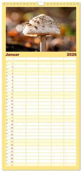 Produktbild: Familienplaner 2026 - Fantastische Pilzwelten mit 5 Spalten (Wandkalender, 21 x 45 cm) CALVENDO