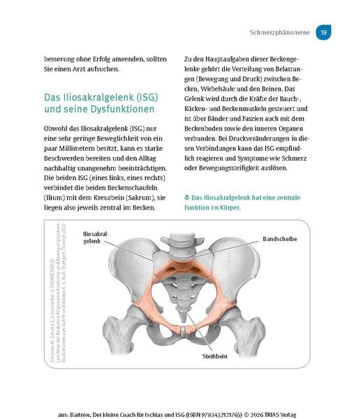 Produktbild: Der kleine Coach f&uuml;r Ischias und ISG