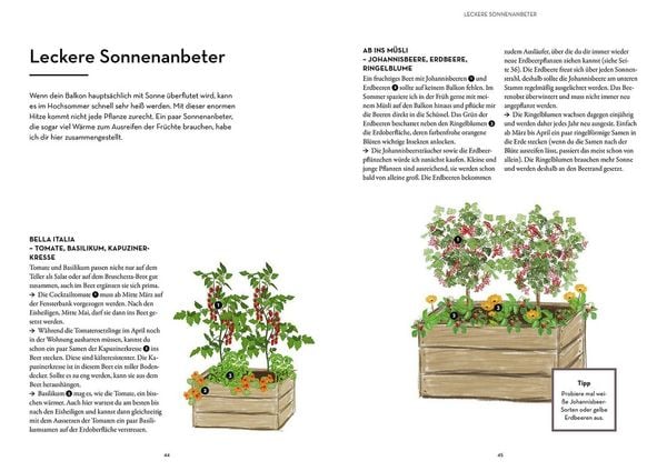 Produktbild: Mein Balkon-Hochbeet