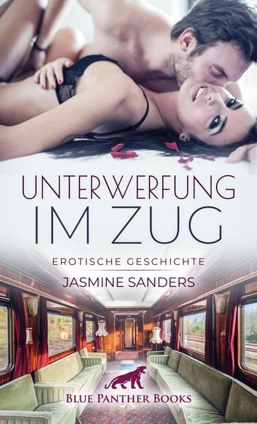 Produktbild: Unterwerfung im Zug | Erotische Geschichte