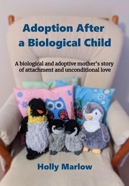 Produktbild: Adoption After a Biological Child