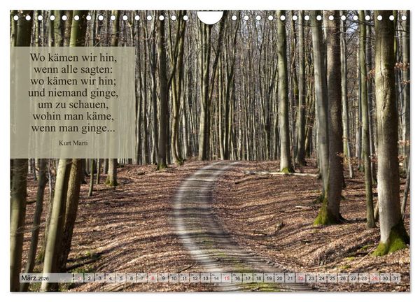 Produktbild: Weises (Wandkalender 2026 DIN A4 quer), CALVENDO Monatskalender