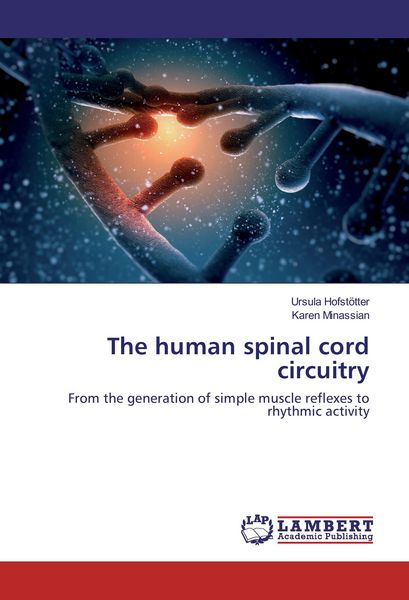 Produktbild: The human spinal cord circuitry