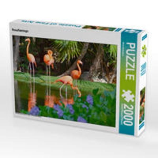 CALVENDO Puzzle Rosaflamingo | 2000 Teile Lege-Größe 90 × 67 cm Foto-Puzzle für glückliche Stunden