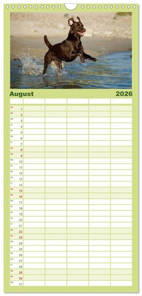 Produktbild: Familienplaner 2026 - Labrador Retriever mit 5 Spalten (Wandkalender, 21 x 45 cm) CALVENDO