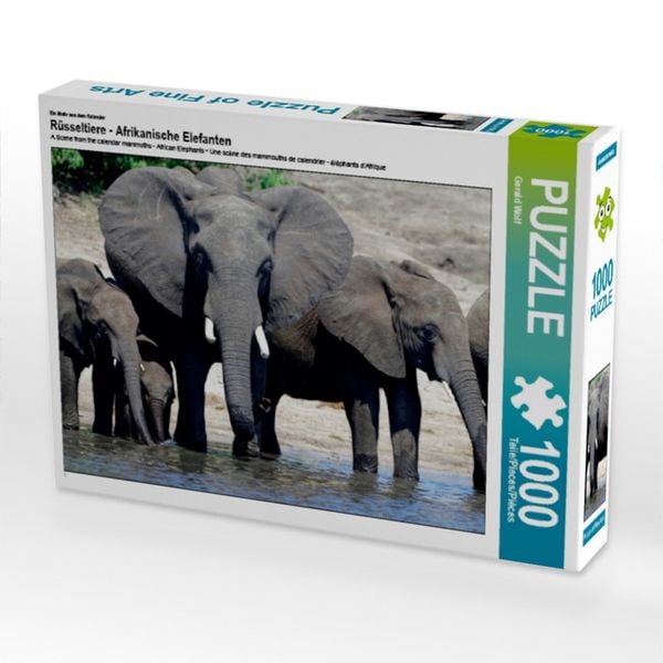 CALVENDO Puzzle Ein Motiv aus dem Kalender Rüsseltiere - Afrikanische Elefanten | 1000 Teile Lege-Größe 64x48cm Foto-Puzzle für glückliche Stunden
