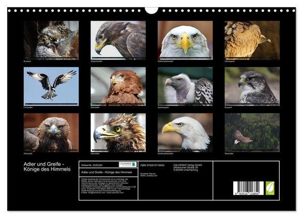 Produktbild: Adler und Greife - K&ouml;nige des Himmels (Wandkalender 2026 DIN A3 quer), CALVENDO Monatskalender
