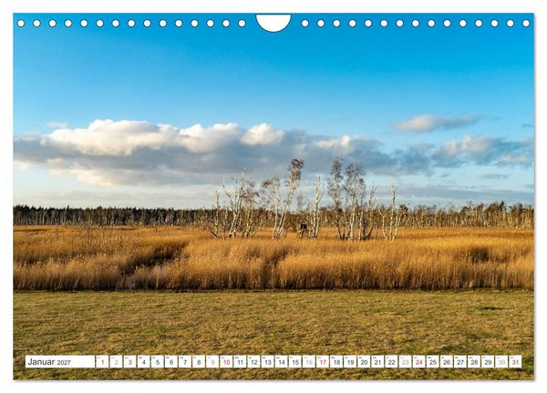 Produktbild: Mecklenburg-Vorpommern - Fischland-Dar&szlig;-Zingst (Wandkalender 2027 DIN A4 quer), CALVENDO Monatskalender