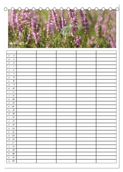 Produktbild: L&uuml;neburger Heide - Faszinierend sch&ouml;n (Tischkalender 2026 DIN A5 hoch), CALVENDO Monatskalender