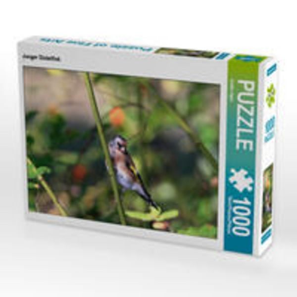 CALVENDO Puzzle Junger Distelfink 1000 Teile Lege-Größe 64 x 48 cm Foto-Puzzle Bild von Anette Jäger
