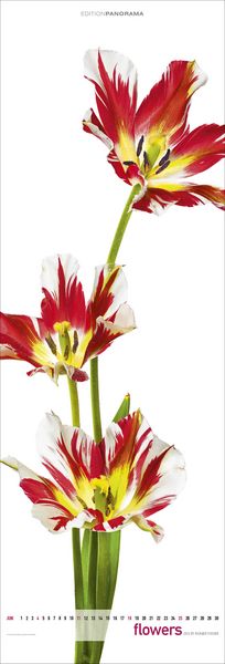 Produktbild: Flowers 2023