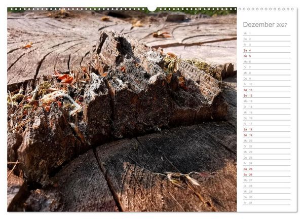 Produktbild: Abstrakte Umwelt (Wandkalender 2027 DIN A2 quer), CALVENDO Monatskalender