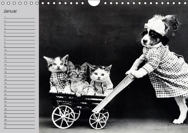 Produktbild: Katzen und Hunde - Nostalgie auf Pfoten (Wandkalender immerw&auml;hrend DIN A4 quer)