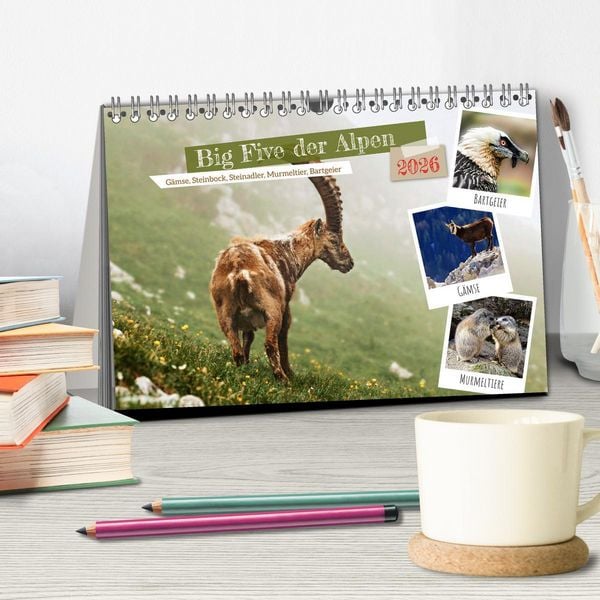 Produktbild: Big Five der Alpen G&auml;mse, Steinbock, Murmeltier, Steinadler, Bartgeier (Tischkalender 2026 DIN A5 quer), CALVENDO Monatskalender