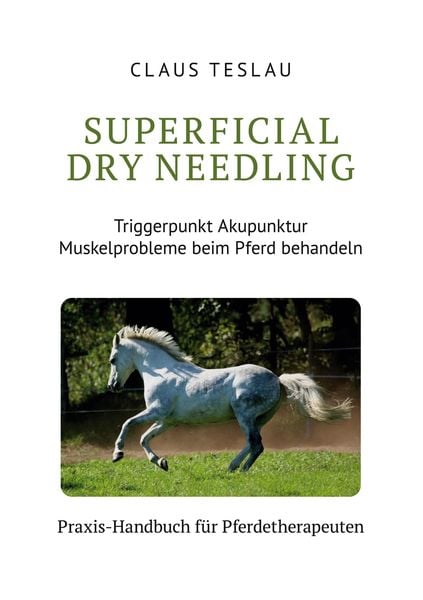 Produktbild: Superficial Dry Needling