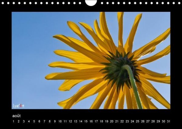 Produktbild: Liatard, A: Fleurs et couleurs (Calendrier mural Calendrier
