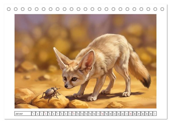 Produktbild: Fenneks - Neugierige Momente in der W&uuml;ste (Tischkalender 2027 DIN A5 quer), CALVENDO Monatskalender