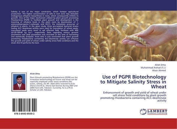 Produktbild: Use of PGPR Biotechnology to Mitigate Salinity Stress in Wheat