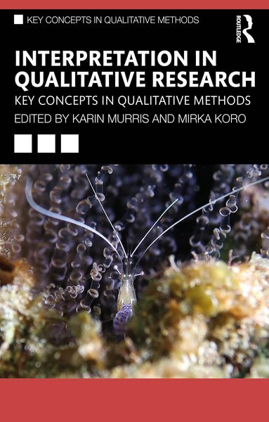 Produktbild: Interpretation in Qualitative Research