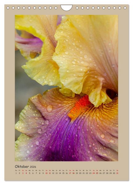 Produktbild: Zauberhafte Iris (Wandkalender 2026 DIN A4 hoch), CALVENDO Monatskalender