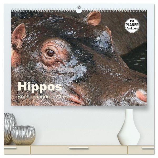 Produktbild: Hippos - Begegnungen in Afrika (hochwertiger Premium Wandkalender 2026 DIN A2 quer), Kunstdruck in Hochglanz