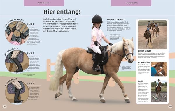 Produktbild: Pferde und Ponys