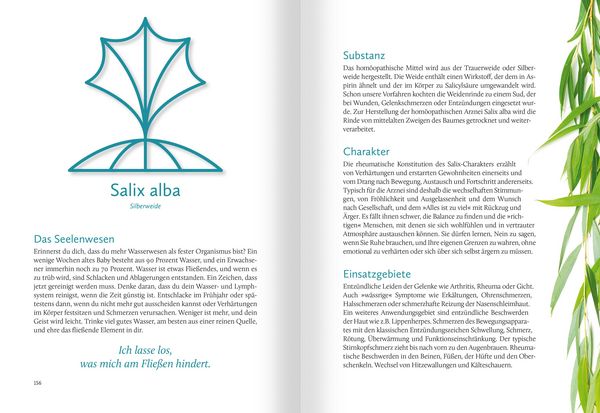 Produktbild: Hom&ouml;opathische Symbolapotheke. 70 wichtige "Kleine Mittel"