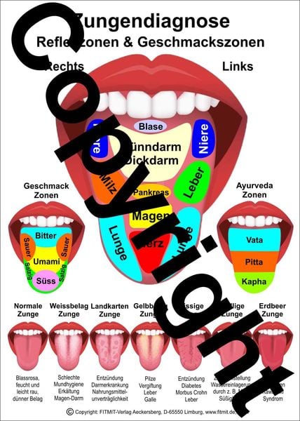 Produktbild: Zungendiagnose