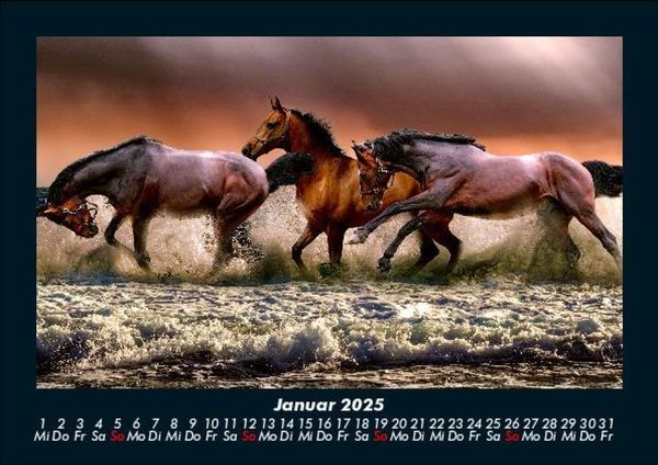 Produktbild: Pferde Kalender 2025 Fotokalender DIN A5