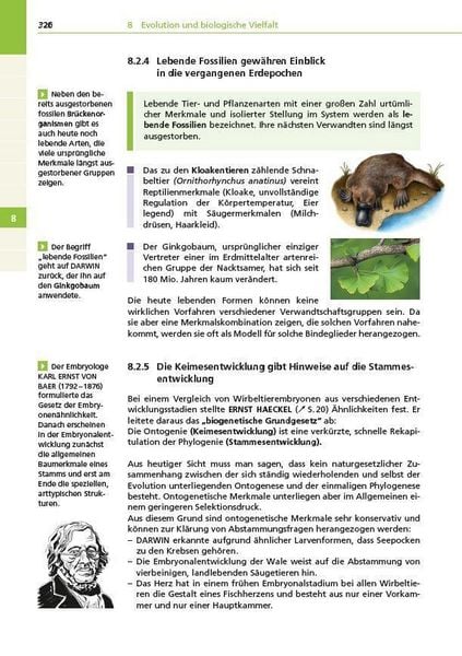 Produktbild: Basiswissen Schule &ndash; Biologie Abi