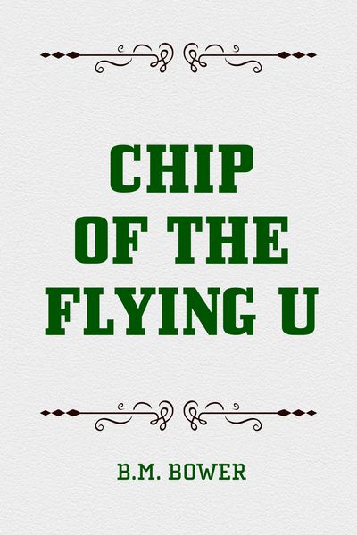 Produktbild: Chip of the Flying U