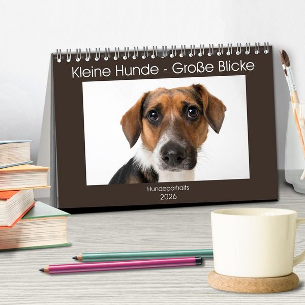 Produktbild: Kleine Hunde - Gro&szlig;e Blicke (Tischkalender 2026 DIN A5 quer), CALVENDO Monatskalender