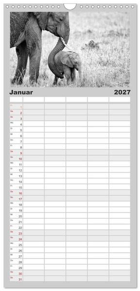 Produktbild: Familienplaner 2027 - Afrika Schwarz - Weiss mit 5 Spalten (Wandkalender, 21 x 45 cm) CALVENDO