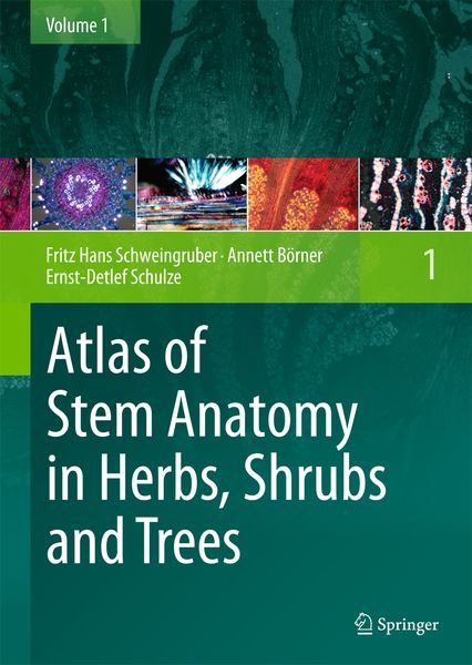 Produktbild: Atlas of Stem Anatomy in Herbs, Shrubs and Trees