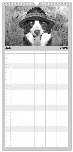 Produktbild: Familienplaner 2026 - H&uuml;tehunde mit 5 Spalten (Wandkalender, 21 x 45 cm) CALVENDO