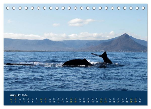 Produktbild: Faszinierende Tierwelt von Mauritius - Magische Momente der Natur (Tischkalender 2026 DIN A5 quer), CALVENDO Monatskalender