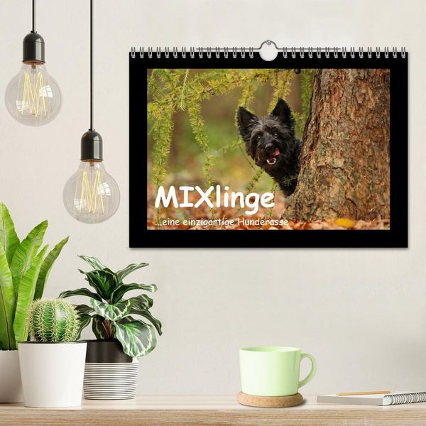 Produktbild: MIXlinge (Wandkalender 2026 DIN A4 quer), CALVENDO Monatskalender