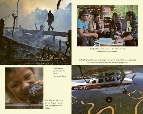 Produktbild: Into the Jungle