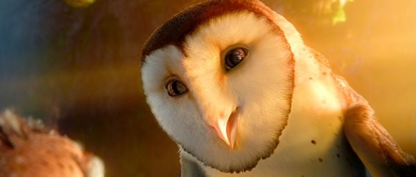 Produktbild: Die Legende der W&auml;chter