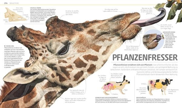 Produktbild: Mega-Wissen. Natur