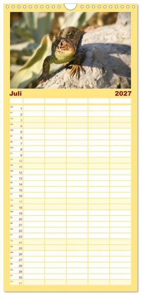 Produktbild: Familienplaner 2027 - Minisaurier im Garten mit 5 Spalten (Wandkalender, 21 x 45 cm) CALVENDO