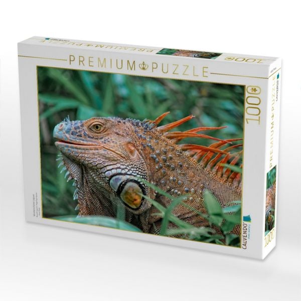 Produktbild: CALVENDO Puzzle Wundersch&ouml;ner Leguan | 1000 Teile Lege-Gr&ouml;&szlig;e 64x48cm Foto-Puzzle f&uuml;r gl&uuml;ckliche Stunden