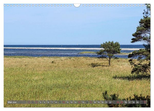 Produktbild: Fischland Dar&szlig; Zingst - wie gemalt (Wandkalender 2026 DIN A3 quer), CALVENDO Monatskalender